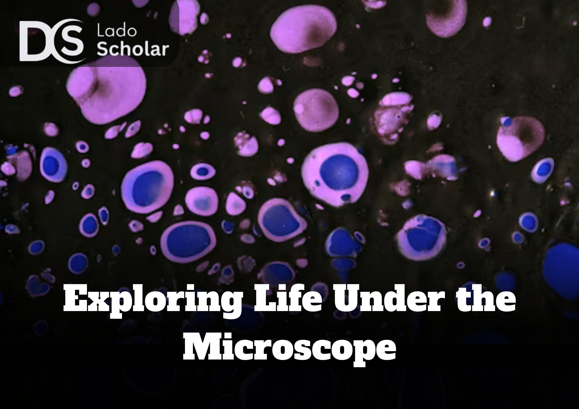 Exploring Life Under the Microscope – The Hidden Universe Within Everyday Matter